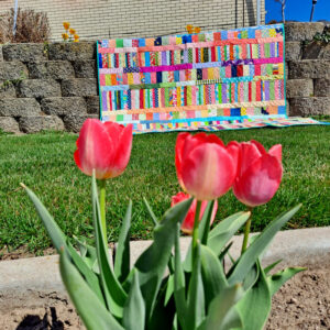 Coin and strip quilt hanging on a wall with tulips in front
