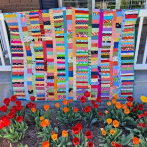 15 Quilt Challenge Ideas for Your Guild - Aunt Ems Quilts