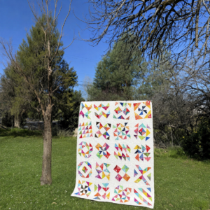 Scrappy half square triangle sampler quilt in the park