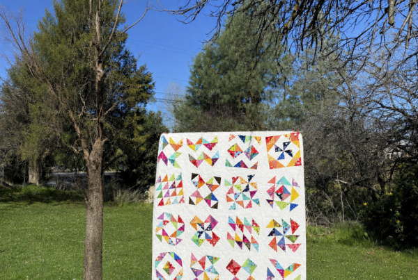 Scrappy half square triangle sampler quilt in the park